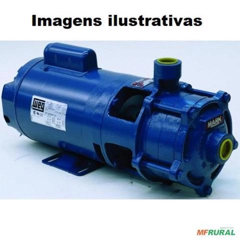 Imagem Moto bomba dágua Multi Estágio 4 e 5 cv 4 e 5 hp Usado Jockey C2167 Imagem Moto bomba dágua Multi Estágio 4 e 5 cv 4 e 5 hp Usado Jockey C2167