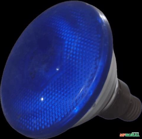 Lâmpada Refletora Philips 220-230v 80w Flood Azul C8607 Imagem Lâmpada Refletora Philips 220-230v 80w Flood Azul C8607