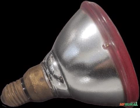 Lâmpada Refletora Philips 220-230V 80W FLOOD VERMELHO C8608 Imagem Lâmpada Refletora Philips 220-230V 80W FLOOD VERMELHO C8608