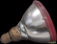 Lâmpada Refletora Philips 220-230V 80W FLOOD VERMELHO C8608 Imagem Lâmpada Refletora Philips 220-230V 80W FLOOD VERMELHO C8608