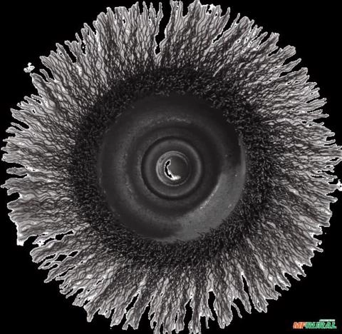 Escova Abrasiva Circular de Aço C8646 PROMOÇÃO Imagem Escova Abrasiva Circular de Aço C8646 PROMOÇÃO