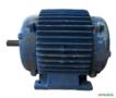 Motor Elétrico 1/4 Cv Hp 1700 Rpm 4p Não Revisado não weg C2002 - Estado: Não Revisado Imagem Motor Elétrico 1/4 Cv Hp 1700 Rpm 4p Não Revisado não weg C2002 - Estado: Não Revisado