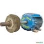Politriz Indústrial 1,5/3cv Alta e baixa rotação 1700/3500RPM C6449 Imagem Politriz Indústrial 1,5/3cv Alta e baixa rotação 1700/3500RPM C6449
