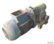 Motoredutor 0,50 cv (1/2 cv) 1:300 Ø18mm C9294 Imagem Motoredutor 0,50 cv (1/2 cv) 1:300 Ø18mm C9294