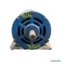 Motor Elétrico 3/4 Cv Hp 3500 rpm 2p ABERTO usado C2285 Imagem Motor Elétrico 3/4 Cv Hp 3500 rpm 2p ABERTO usado C2285