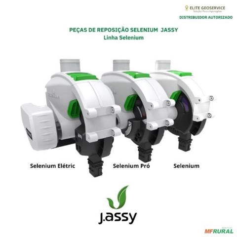 MOTOR SELENIUM ELÉTRIC DOGA 100 RPM - ORIGINAL JASSY Imagem MOTOR SELENIUM ELÉTRIC DOGA 100 RPM - ORIGINAL JASSY