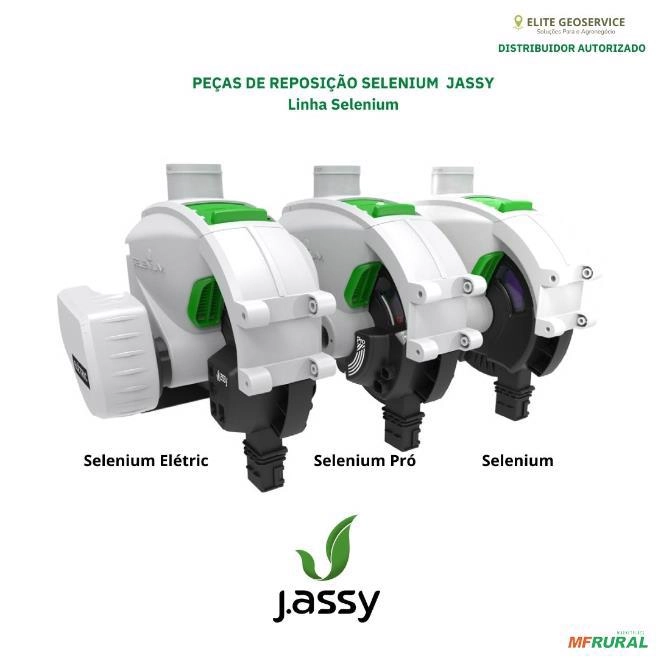 MOTOR SELENIUM ELÉTRIC DOGA 100 RPM - ORIGINAL JASSY Imagem MOTOR SELENIUM ELÉTRIC DOGA 100 RPM - ORIGINAL JASSY