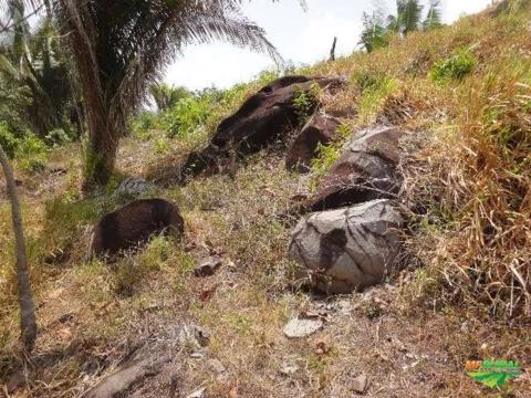 Mina de Granito para Brita não Explorada no Estado do Pará Imagem Mina de Granito para Brita não Explorada no Estado do Pará