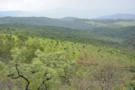 FAZENDA SANTA CECILIA EM ITABIRITO