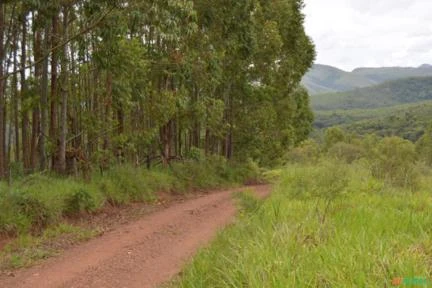 FAZENDA SANTA CECILIA EM ITABIRITO