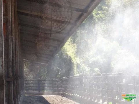 Conjunto de Climatização para Gado