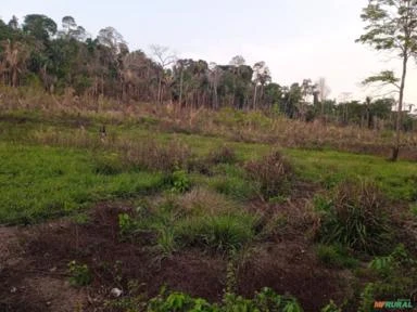 Fazenda Altamira