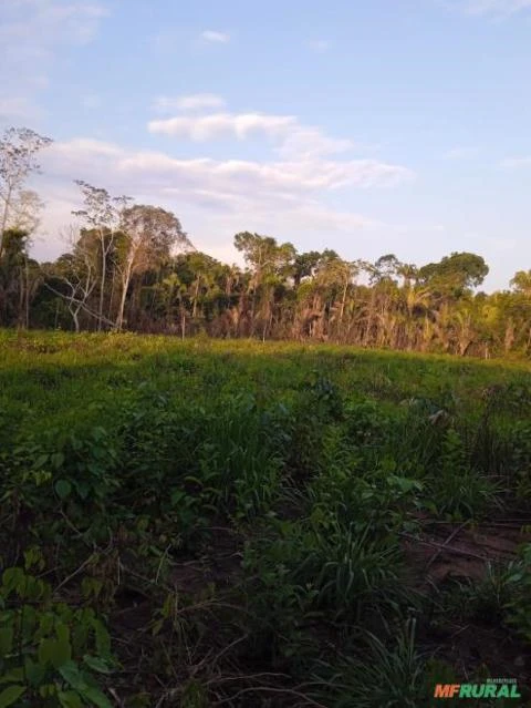 Fazenda Altamira