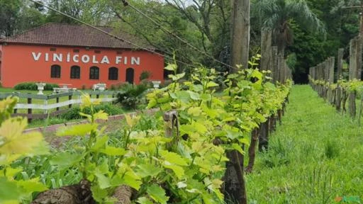 Fazenda com vinicola