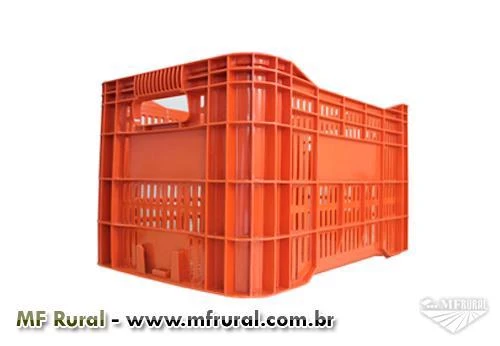 caixas plasticas para transporte de produtos agricolas