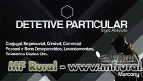 Detetive particular