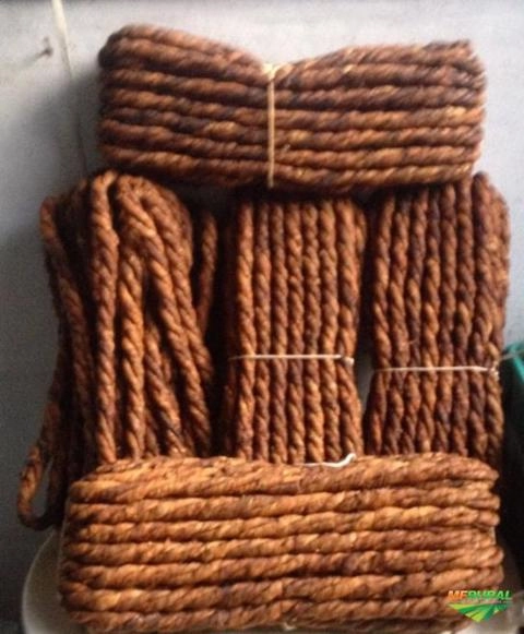 Fornecedor de palha fina e fumo Imagem Fornecedor de palha fina e fumo