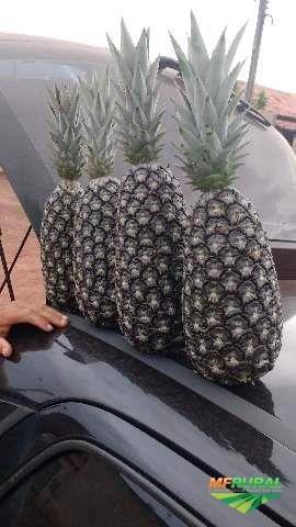 Abacaxi Imagem Abacaxi