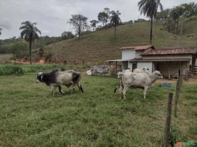 Tabapuã Imagem Tabapuã