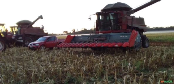 Prestação de Colheita Tercearizada Imagem Prestação de Colheita Tercearizada