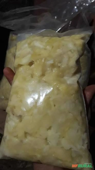 Imagem Graviola (fruta ou polpa) Imagem Graviola (fruta ou polpa)