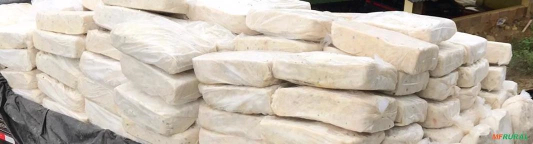 Imagem Graviola (fruta ou polpa) Imagem Graviola (fruta ou polpa)