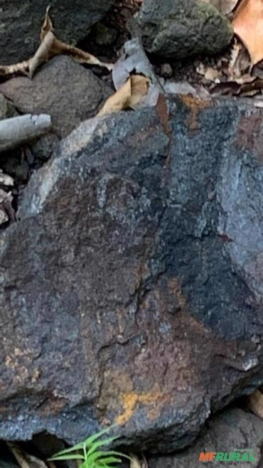 manganes excelentes areas goias Imagem manganes excelentes areas goias