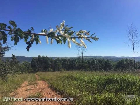 VENDO FAZENDA EM ITATIBA NO ASFALTO