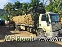 Coco atacado e varejo Imagem Coco atacado e varejo