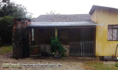 Alugo Chácara com leiteiria completa, pastagem e casa para residência.