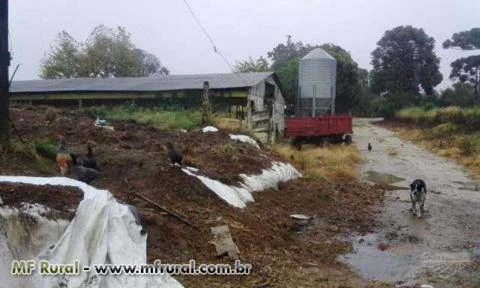 Alugo Chácara com leiteiria completa, pastagem e casa para residência.