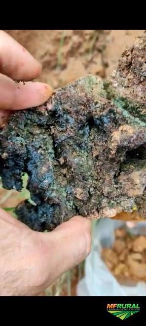 Imagem ÁREA DE OURO / COBALTO / NÍQUEL / ÁGUAS MARINHAS em MG Imagem ÁREA DE OURO / COBALTO / NÍQUEL / ÁGUAS MARINHAS em MG