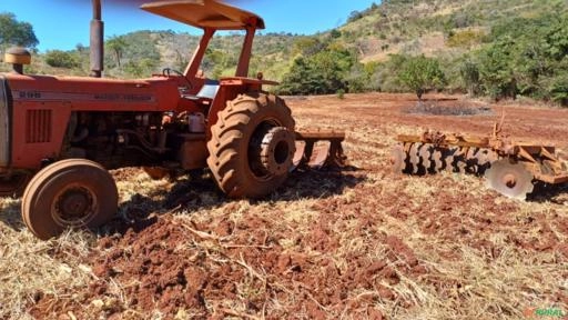 Imagem Trator  massey  fergusson 296 Imagem Trator  massey  fergusson 296