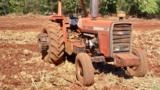 Trator  massey  fergusson 296 Imagem Trator  massey  fergusson 296