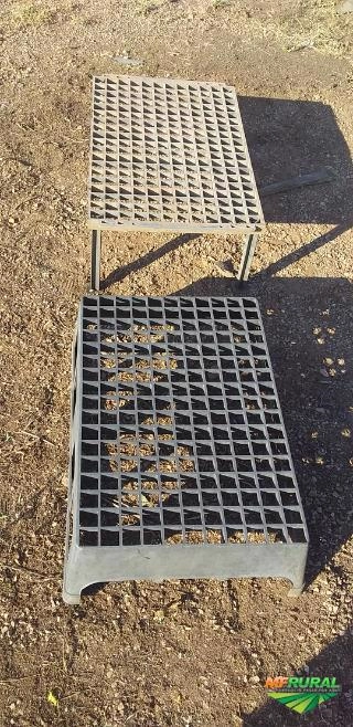 Mudas nativas Imagem Mudas nativas