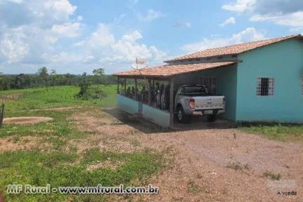Vendo ecxelente fazenda em Tocantins, á 30 km da divisa da Bahia e à 100 km de Luis Eduardo Magalães