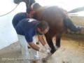 Desinfecção com ozonio Imagem Desinfecção com ozonio