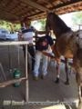 Desinfecção com ozonio Imagem Desinfecção com ozonio