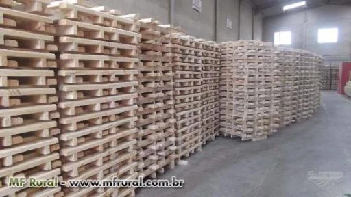 Embalagens de Madeira e Pallets para Exportação