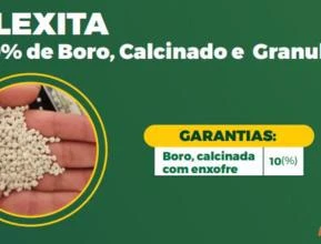 BENTONITA (90% Enxofre Elementar-Pastilhado)