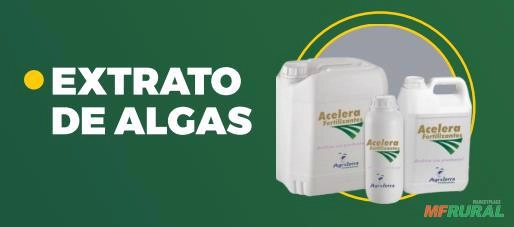 Extrato de algas Imagem Extrato de algas
