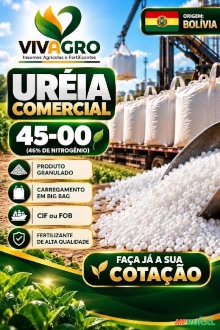 URÉIA BRANCA *Não Protegida* Imagem URÉIA BRANCA *Não Protegida*