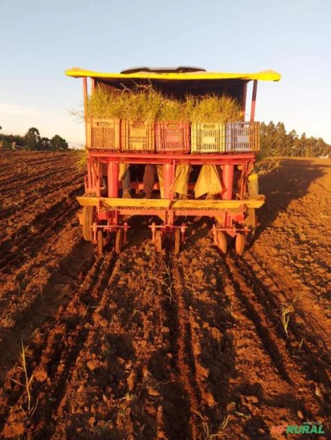 Plantio Mecanizado de Pastagens em Todo Brasil Imagem Plantio Mecanizado de Pastagens em Todo Brasil