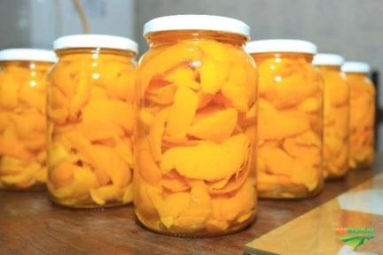 Imagem PEQUI Imagem PEQUI