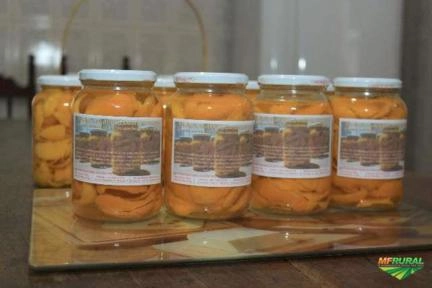 Imagem PEQUI Imagem PEQUI