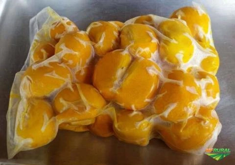 Imagem PEQUI Imagem PEQUI