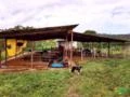 Vende-se ou arrenda-se fazenda de 750 tarefas em Itaporanga D