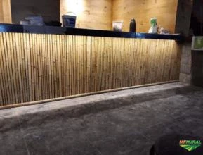 Venda Bambu tratado na Barra da Tijuca