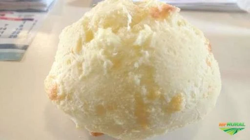 Procuro Sócio para Industria de pão de queijo