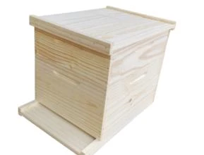 Caixa de abelha langstrooth